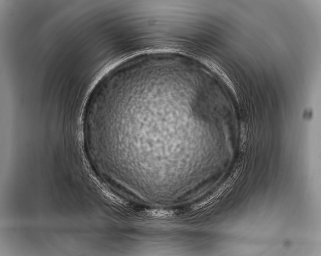 X0000100210789200806131251