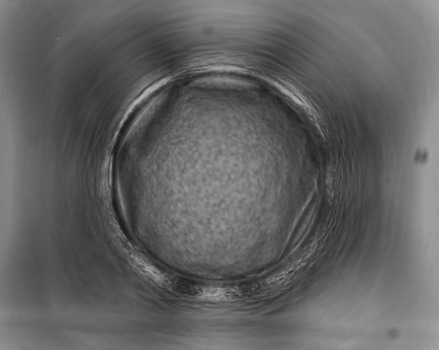 X0000100210790200806131251