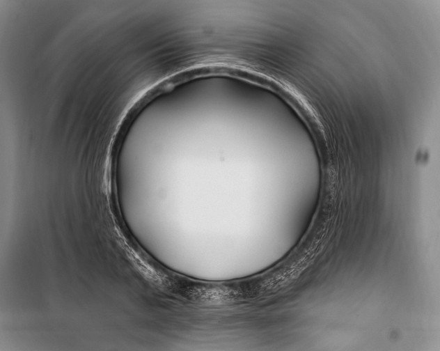 X0000100210791200806131251