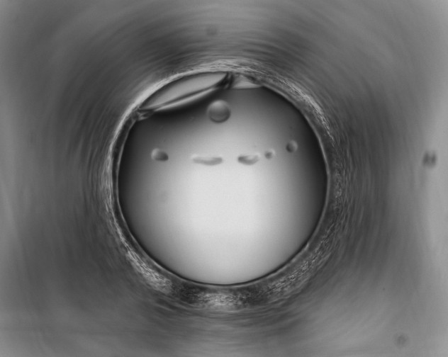 X0000100210792200806131251