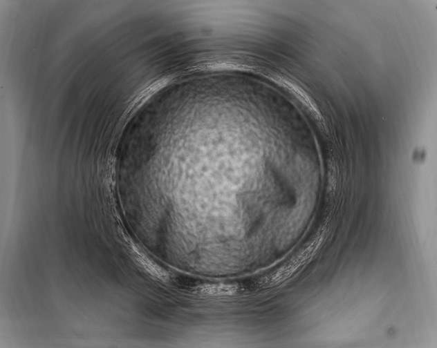 X0000100210793200806131251