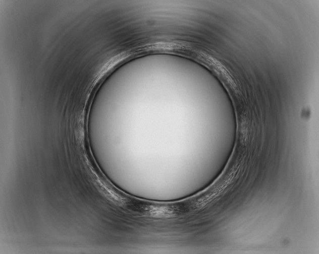 X0000100210794200806131251