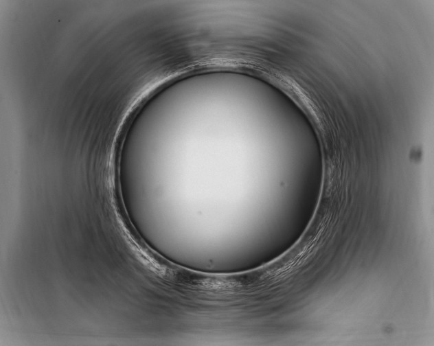 X0000100210795200806131251