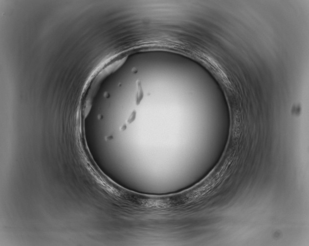 X0000100210796200806131251