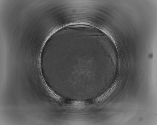 X0000100210797200806131251