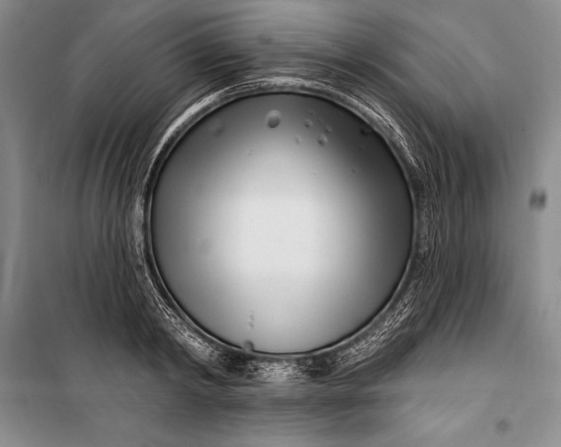 X0000100210798200806131251