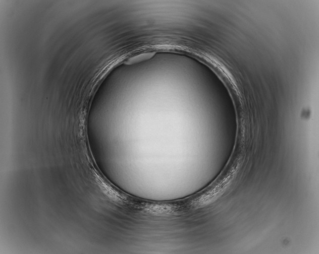 X0000100210801200806131251