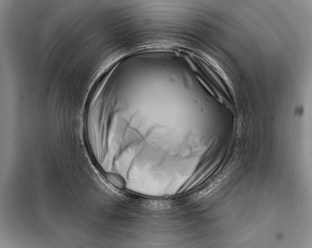 X0000100210802200806131251