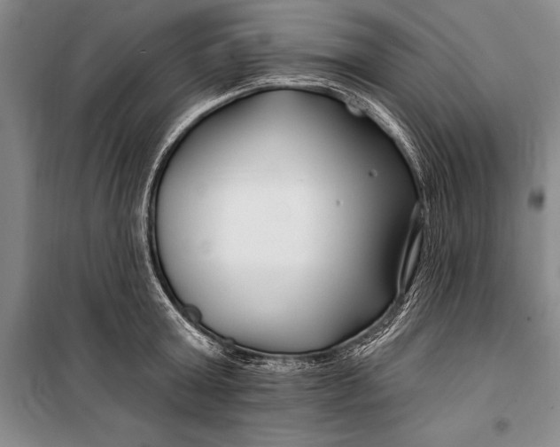 X0000100210803200806131251