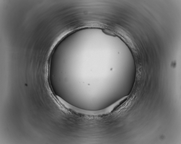 X0000100210804200806131251