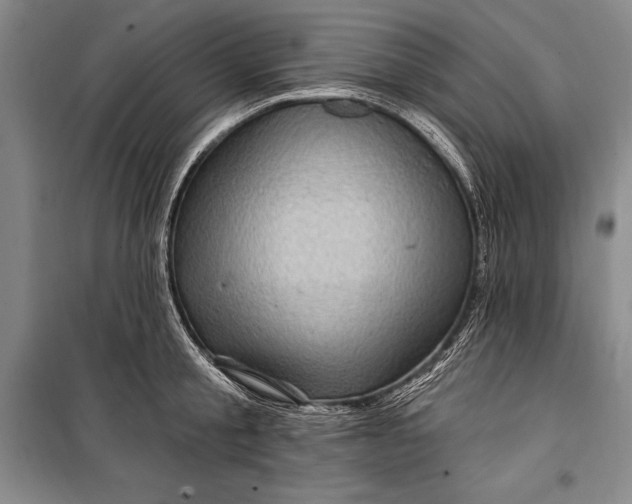 X0000100210805200806131251