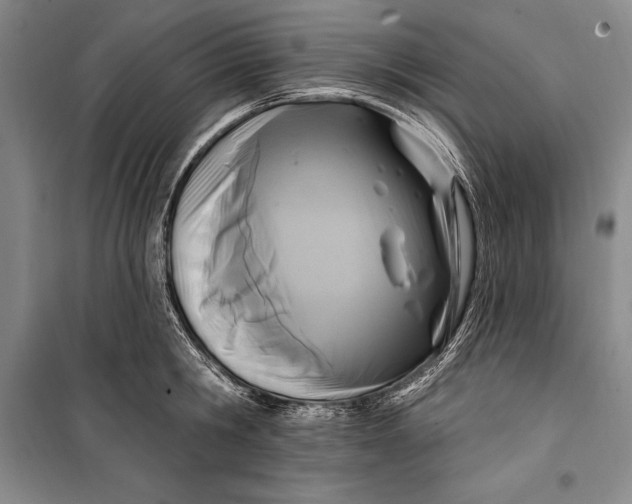 X0000100210806200806131251