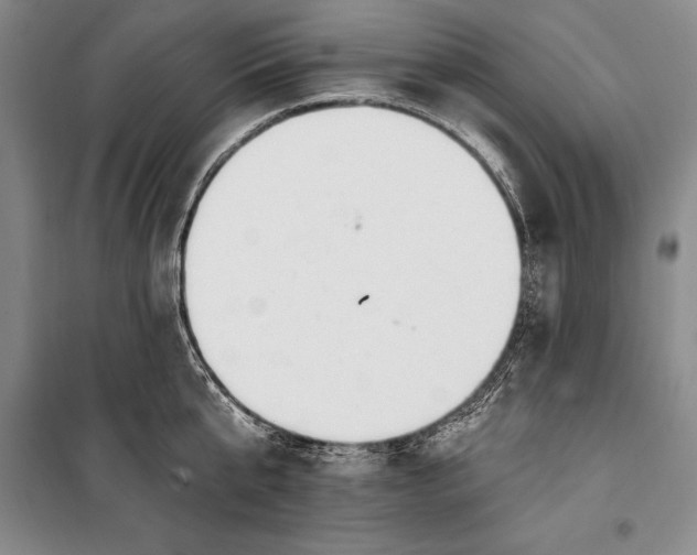 X0000100210807200806131251