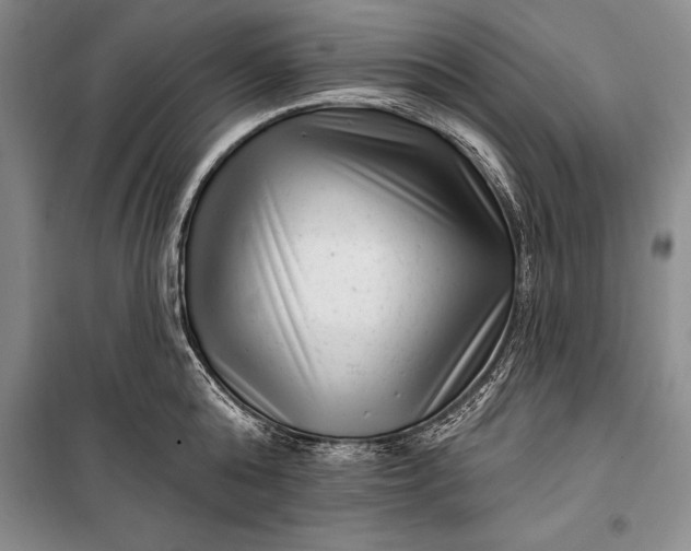 X0000100210808200806131251