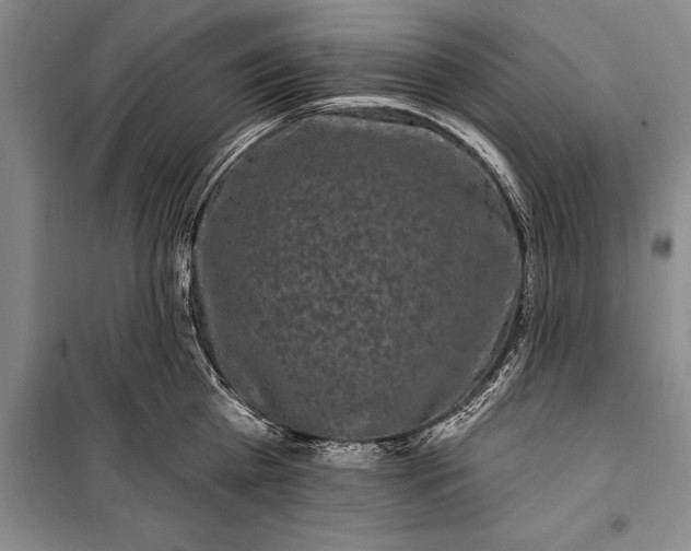 X0000100210809200806131251