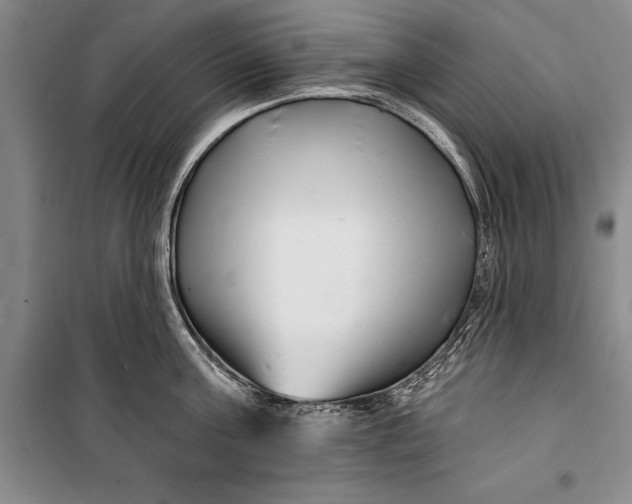 X0000100210811200806131251