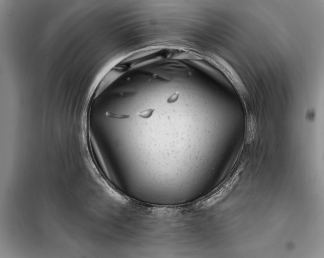 X0000100210812200806131251