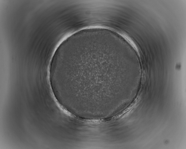 X0000100210813200806131250