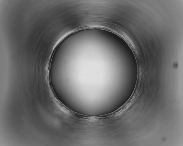 X0000100210814200806131250