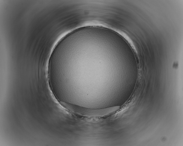 X0000100210815200806131250