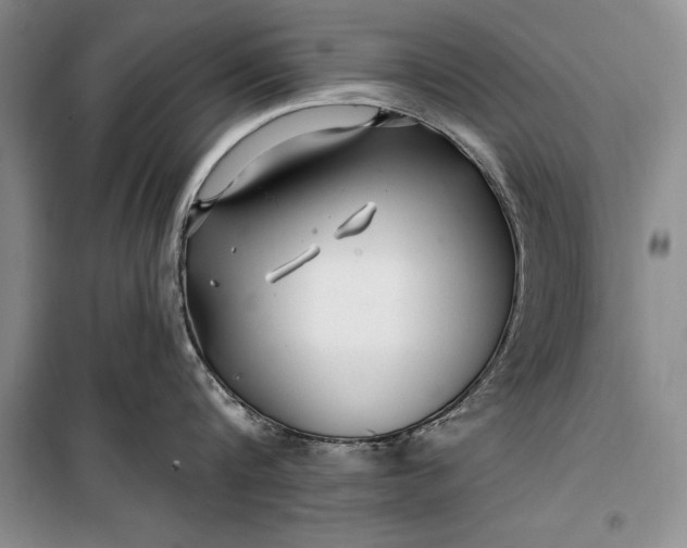 X0000100210816200806131250