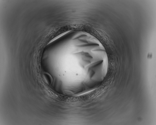 X0000100210817200806131250