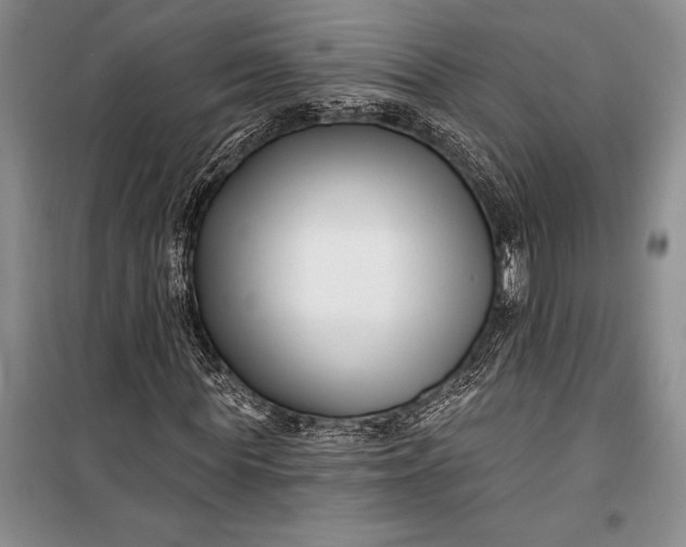 X0000100210819200806131250