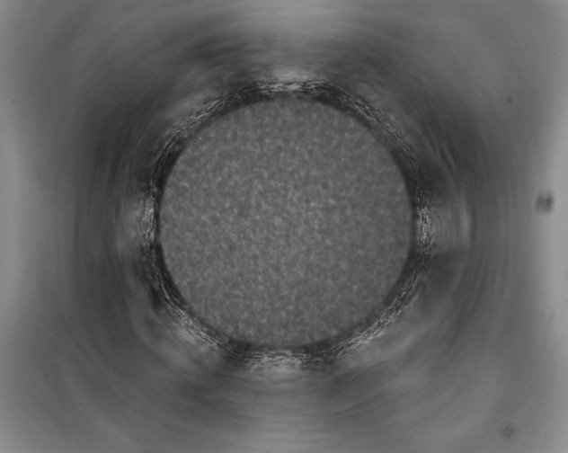 X0000100210820200806131250