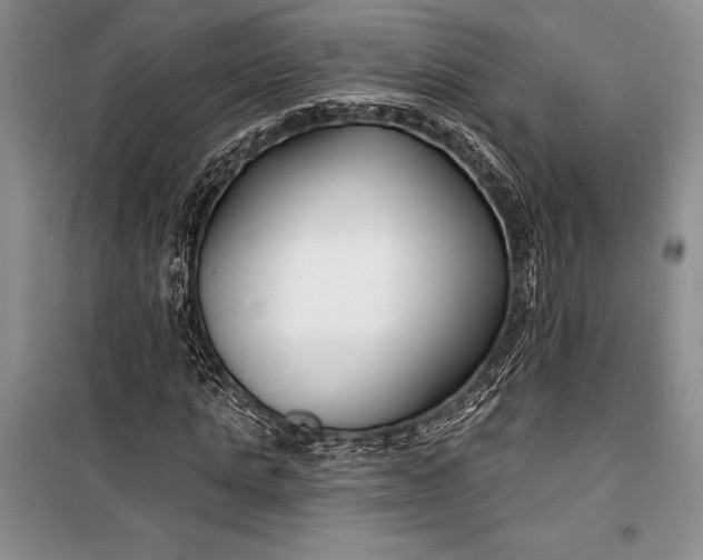 X0000100210821200806131250