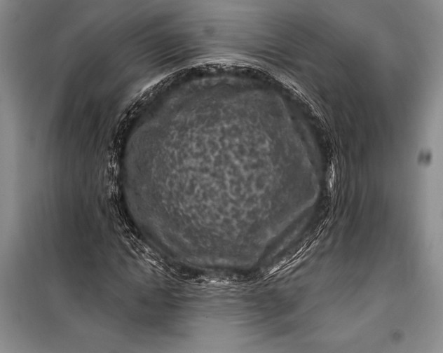 X0000100210822200806131250