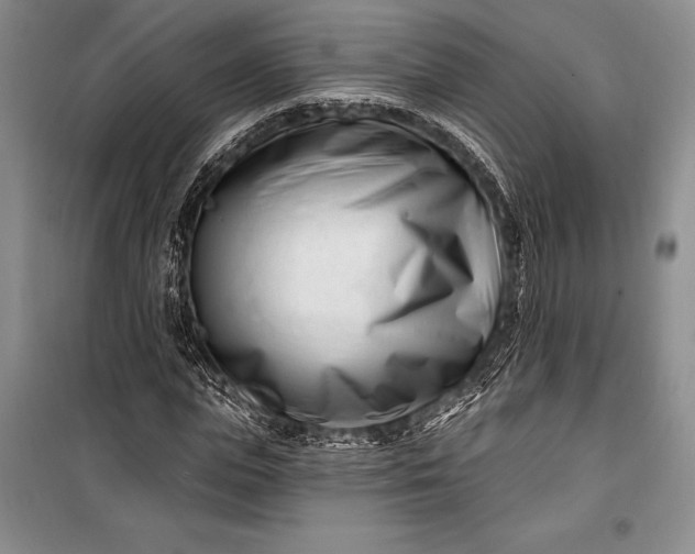 X0000100210823200806131250