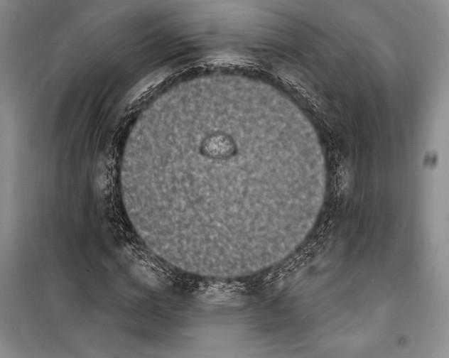 X0000100210824200806131250