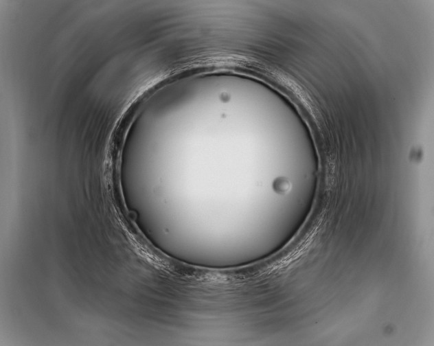 X0000100210827200806131250