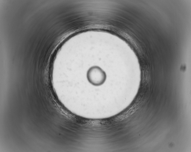 X0000100210828200806131250