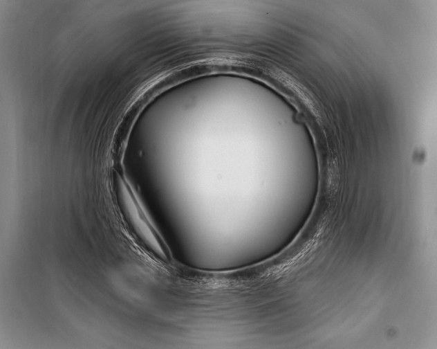 X0000100210829200806131250