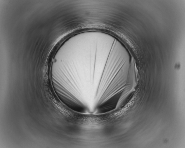 X0000100210830200806131250