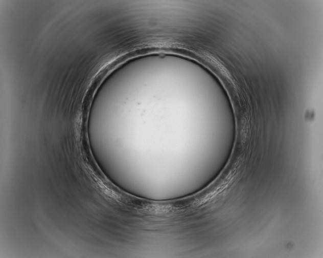 X0000100210831200806131250