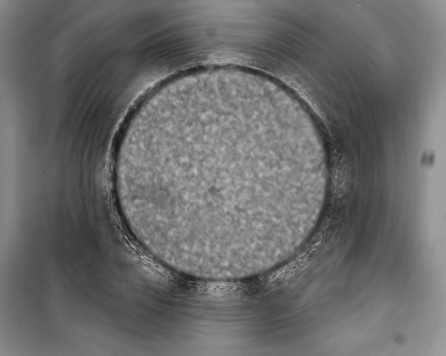 X0000100210832200806131250