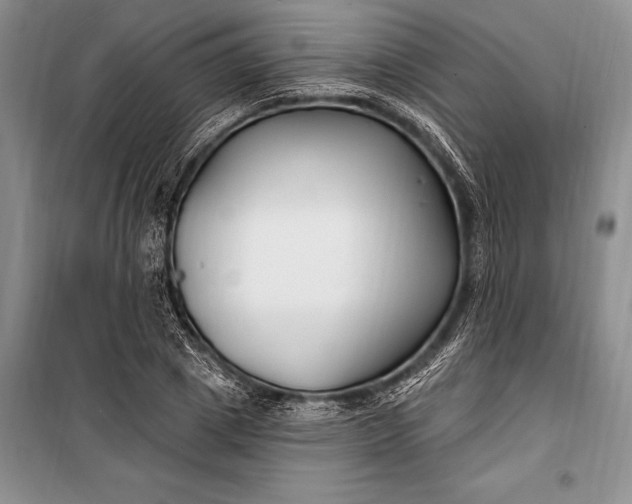 X0000100210833200806131250