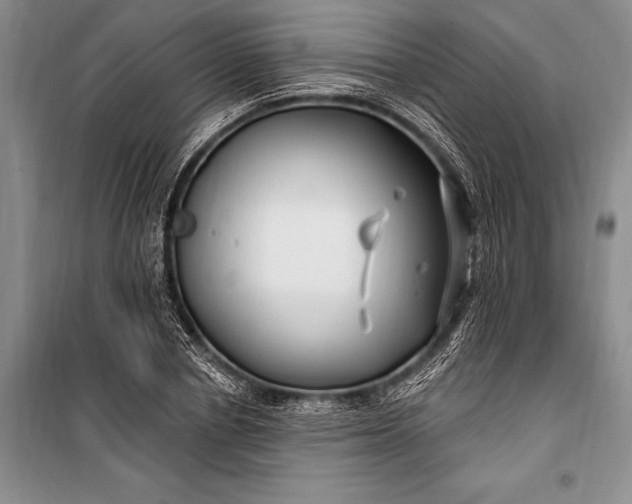 X0000100210834200806131250