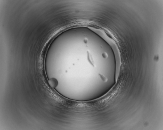 X0000100210835200806131250