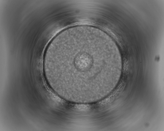 X0000100210836200806131250