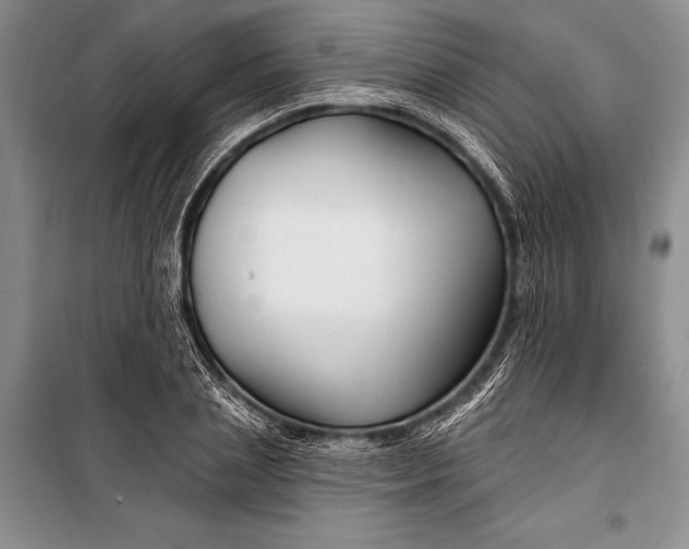 X0000100210837200806131250