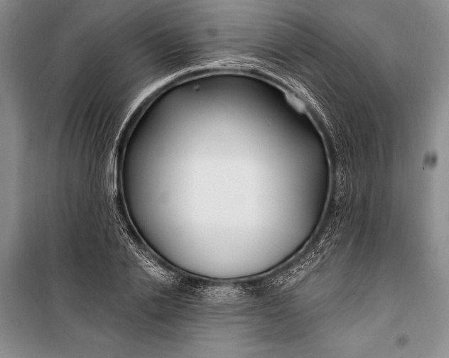 X0000100210838200806131250