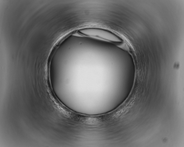 X0000100210839200806131250