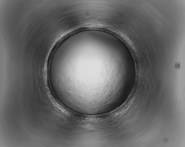 X0000100210840200806131250