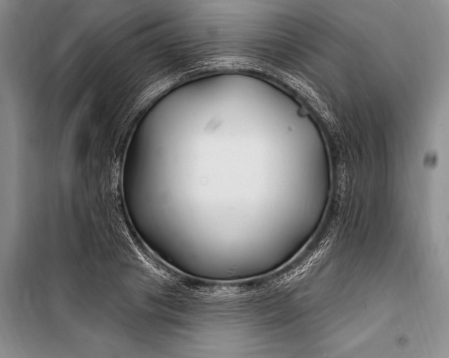 X0000100210841200806131250