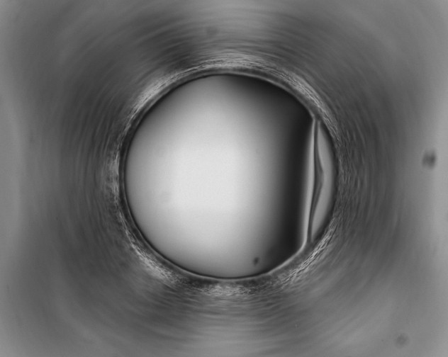 X0000100210842200806131250