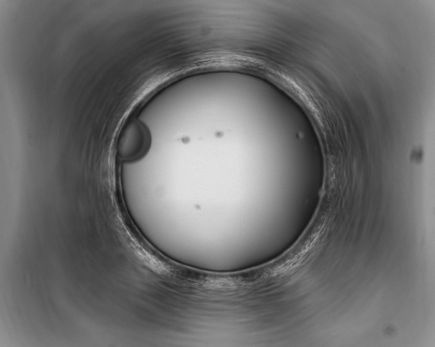 X0000100210843200806131250