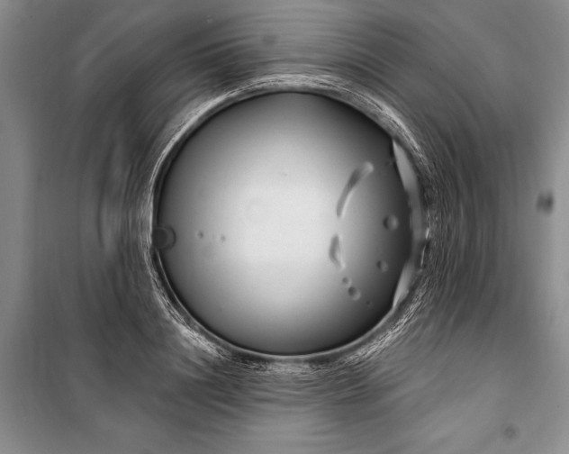 X0000100210844200806131250